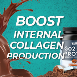 blog-go2protein-salesy