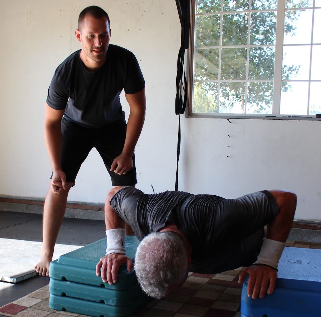 Reverse Push Ups and Benches WW-Background-2