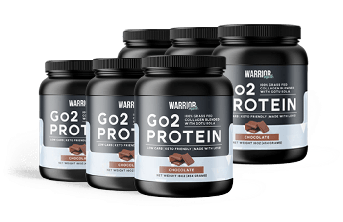 6 Month Go2 Protein